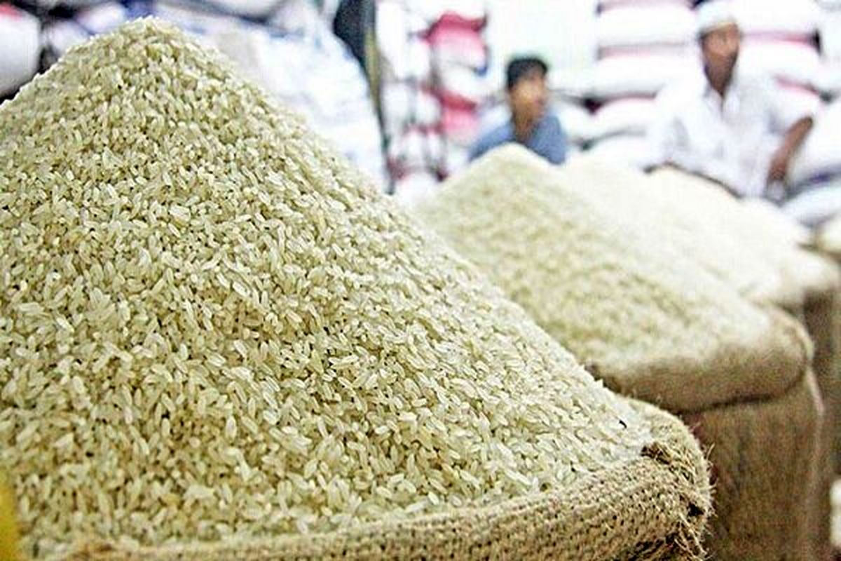 گرانی شوکه کننده قیمت برنج / برنج امسال چقدر گران شد؟